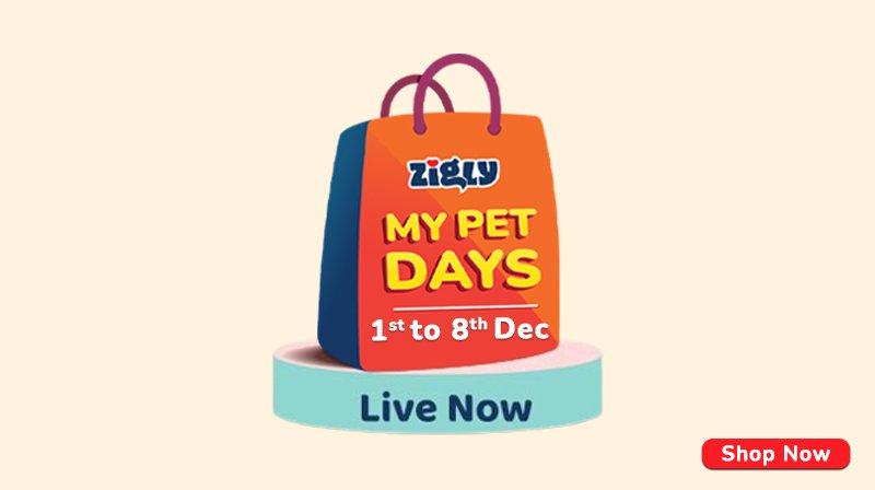 Shop All The Wishlisted Pet Products! Zigly My Pet Days Are Back!